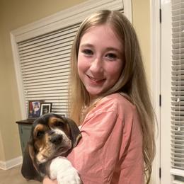 Basset Hound Puppies from Hudson's Hounds
