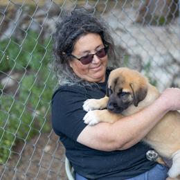 Anatolian Shepherd Dog Puppies from Fiddler’s Dream Anatolians