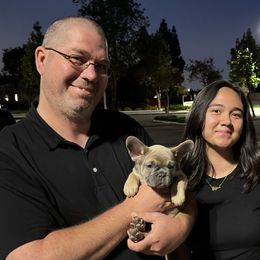 Teddy - Blue fawn French Bulldog puppy in Redlands, California from You Winnie Some (Winnie's Blues & Lilacs)