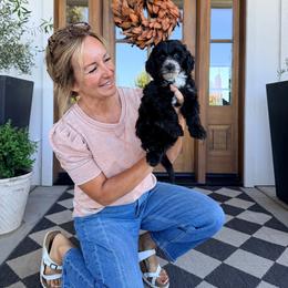 Latte - Black and white male Bernedoodle puppy in Yuba City, California from Ranch House Doodles