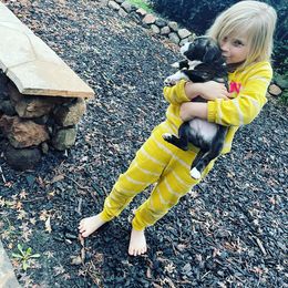Staffordshire Bull Terrier Puppies from Moonspinner Staffords