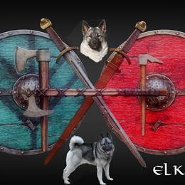 Norwegian Elkhounds from Aspen Norwegian Elkhounds