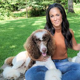 Poodles from Dog Mom Co.