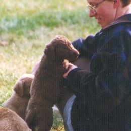 Chesapeake Bay Retrievers from Pond Hollow Chesapeakes