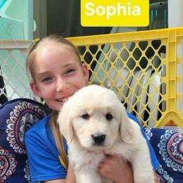 Sophie of the Golden Girls Litter - Light golden female Golden Retriever puppy in Fithian, Illinois from LOMAH Retrievers