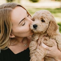Goldendoodles from Diamond Daisy Doodles