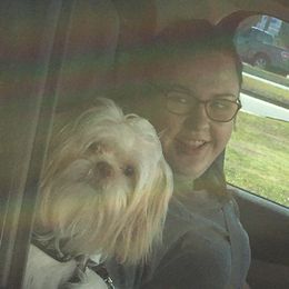 Shih Tzu Puppies from Sugar Paws Heavenly Shih Tzu’s