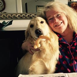 Golden Retrievers from Rainbow Goldens
