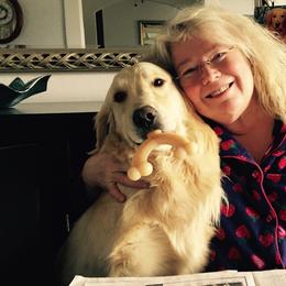 Golden Retrievers from Rainbow Goldens