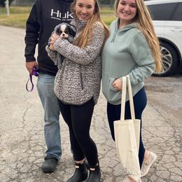 Cavalier King Charles Spaniel Puppies from CK Cavaliers