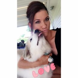 Great Pyrenees Puppies from Wells' Providence Pyrenees