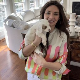 Australian Labradoodle Puppies from Berrybrook Doodles