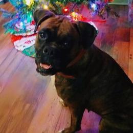 Boxers from Mary Moon