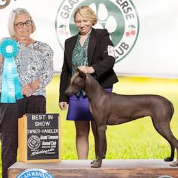 Cavalier King Charles Spaniels and Xoloitzcuintli from Kingslee Kennels