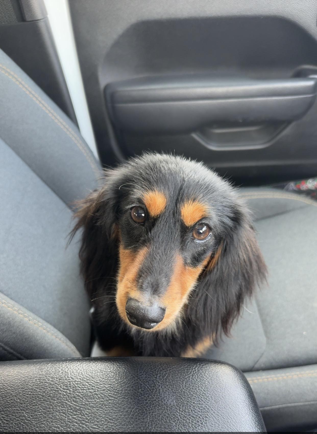 Rosco