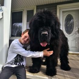 Phoenix - Newfoundland
