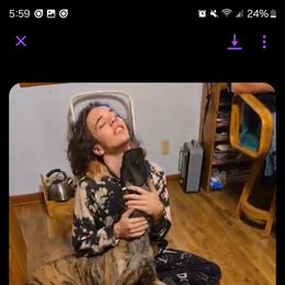 Great Dane All Grown Up from Port Bay Danes