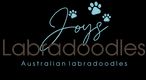 Joys Labradoodles