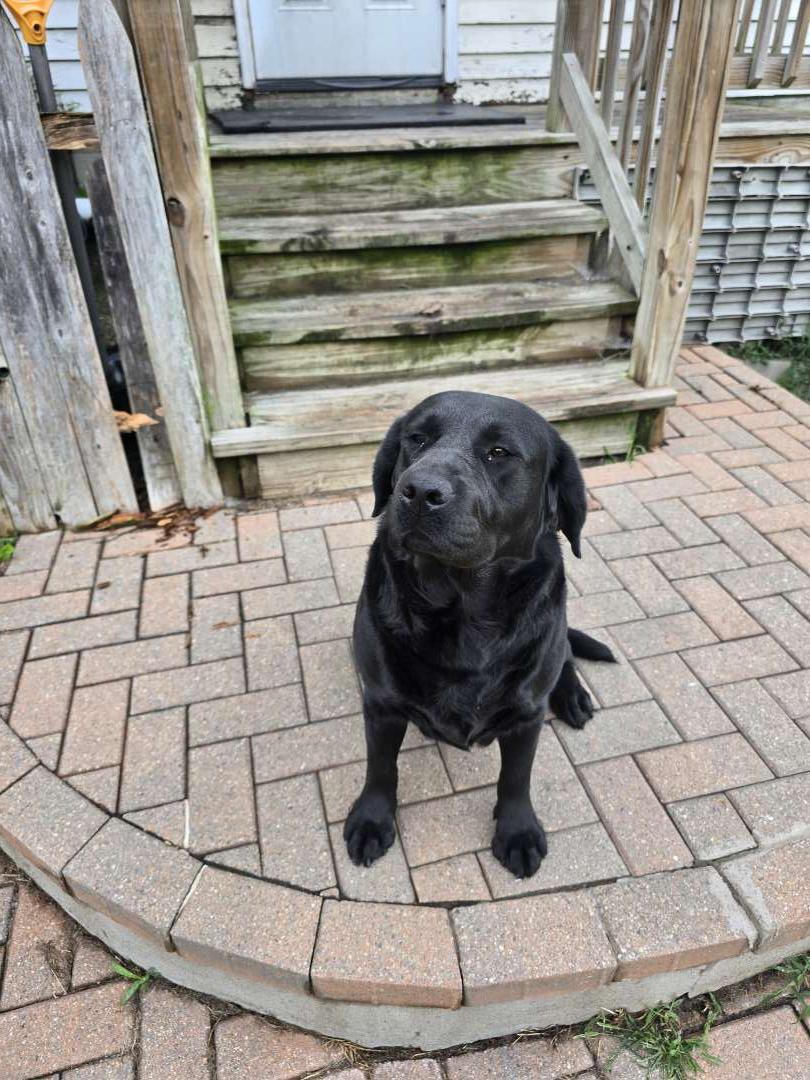Matilda
