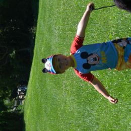 Poodle Puppies from D and D Standard Poodles