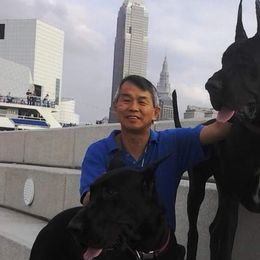 Great Danes from Timeless Danes