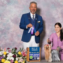 Biewer Terriers and Yorkshire Terriers from Niczarbiewers