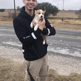 Pembroke Welsh Corgi Puppies from Loves Classic Corgis