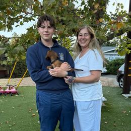 Punisher-Dieter - Red male Dachshund puppy in Pittsburg, California from Super Hero Dachshunds