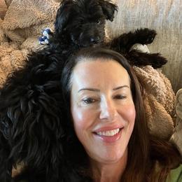 Aussiedoodle and Goldendoodle Puppies from Gray Doodles