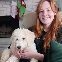 Poodle Puppies from Ramsey Therapy Dogs