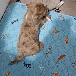 Dachshund Puppies from Barker's Corner