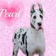 Pearl