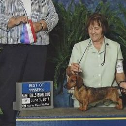 Dachshunds from Ozdox Dachshunds