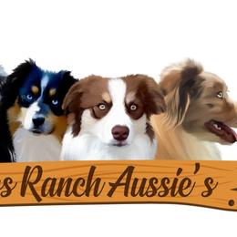 Australian Shepherds, Miniature American Shepherds, Miniature Australian Shepherds, and Toy Australian Shepherds from Ross Ranch Mini and Standard Aussie's