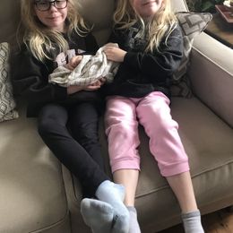 Labrador Retriever Puppies from Aiyer Brothers Labradors