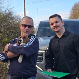 Captain Zoom (Teal) - Mahogany and white male Basset Hound puppy in Lebanon, Ohio from Lady Mae Bassets