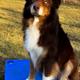 Remington