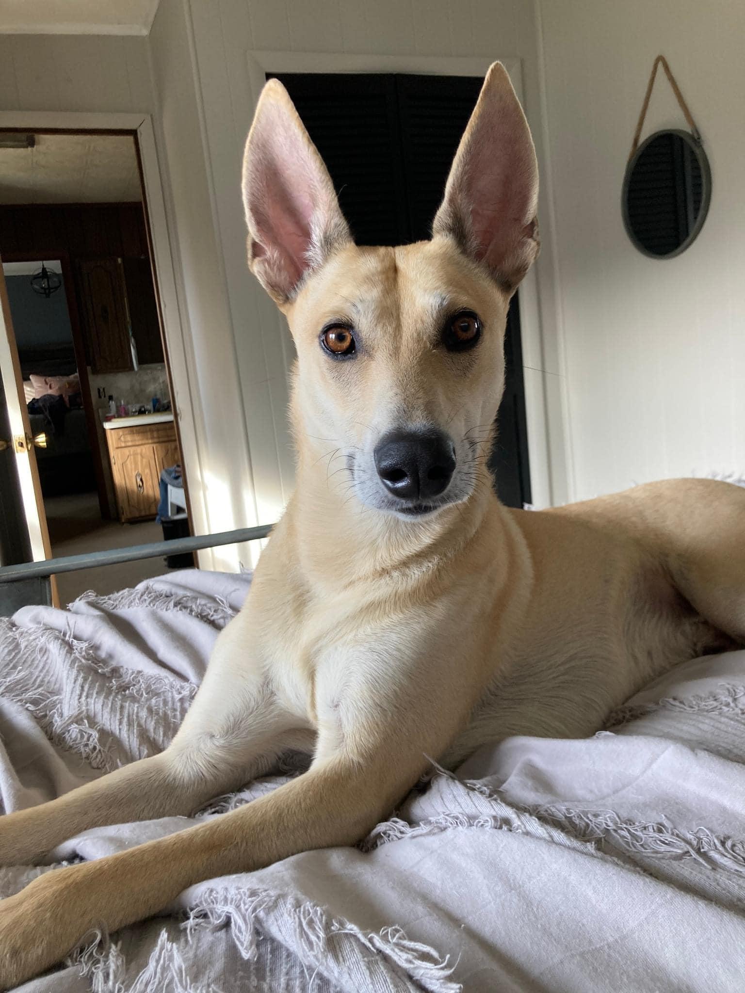 Marco