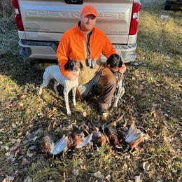 German Shorthaired Pointer All Grown Up from The Nosbisch Ranch Shorthaired Pointers