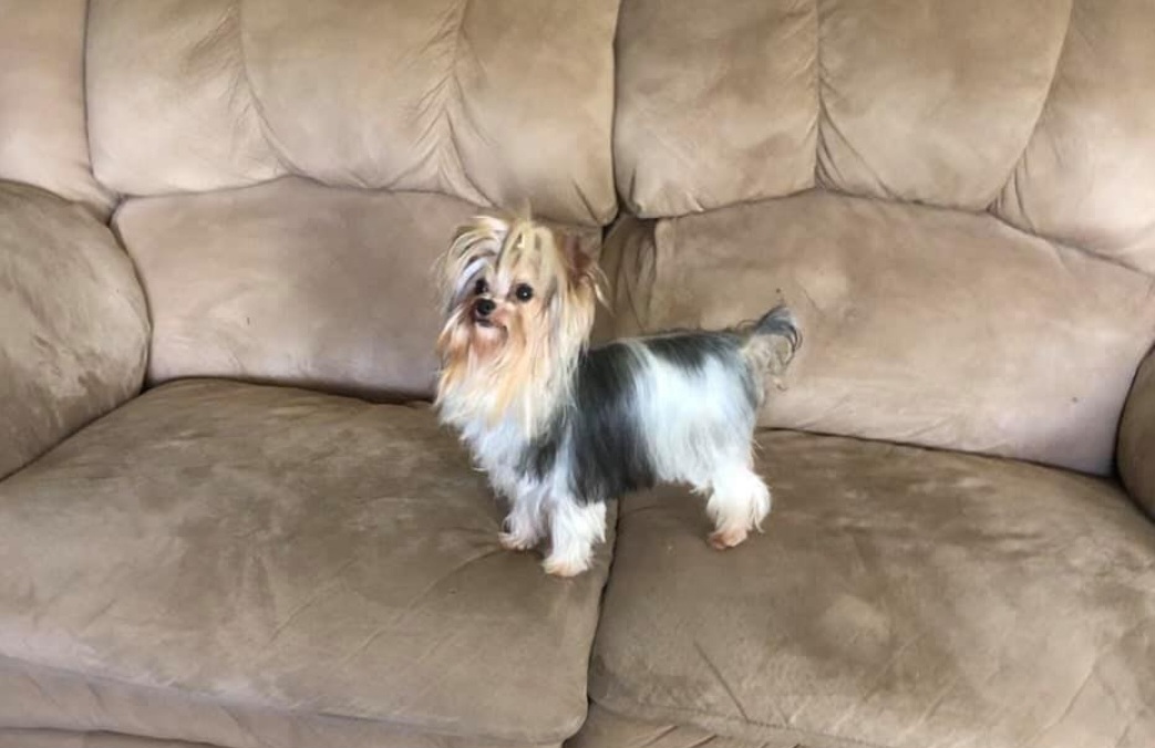 Keebler