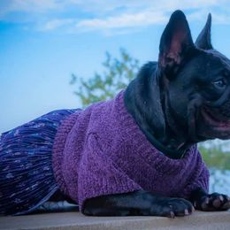 French Bulldogs from Flagship Frenchies