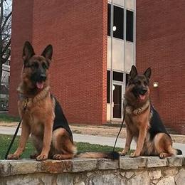 German Shepherds from Vom Vrban Haus