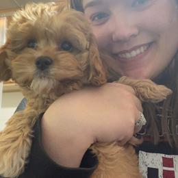 Aussiedoodle, Cavapoo, and Poodle Puppies from Perkins Pups