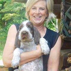 Spinone Italiano Puppies from Maple Hollow Spinone
