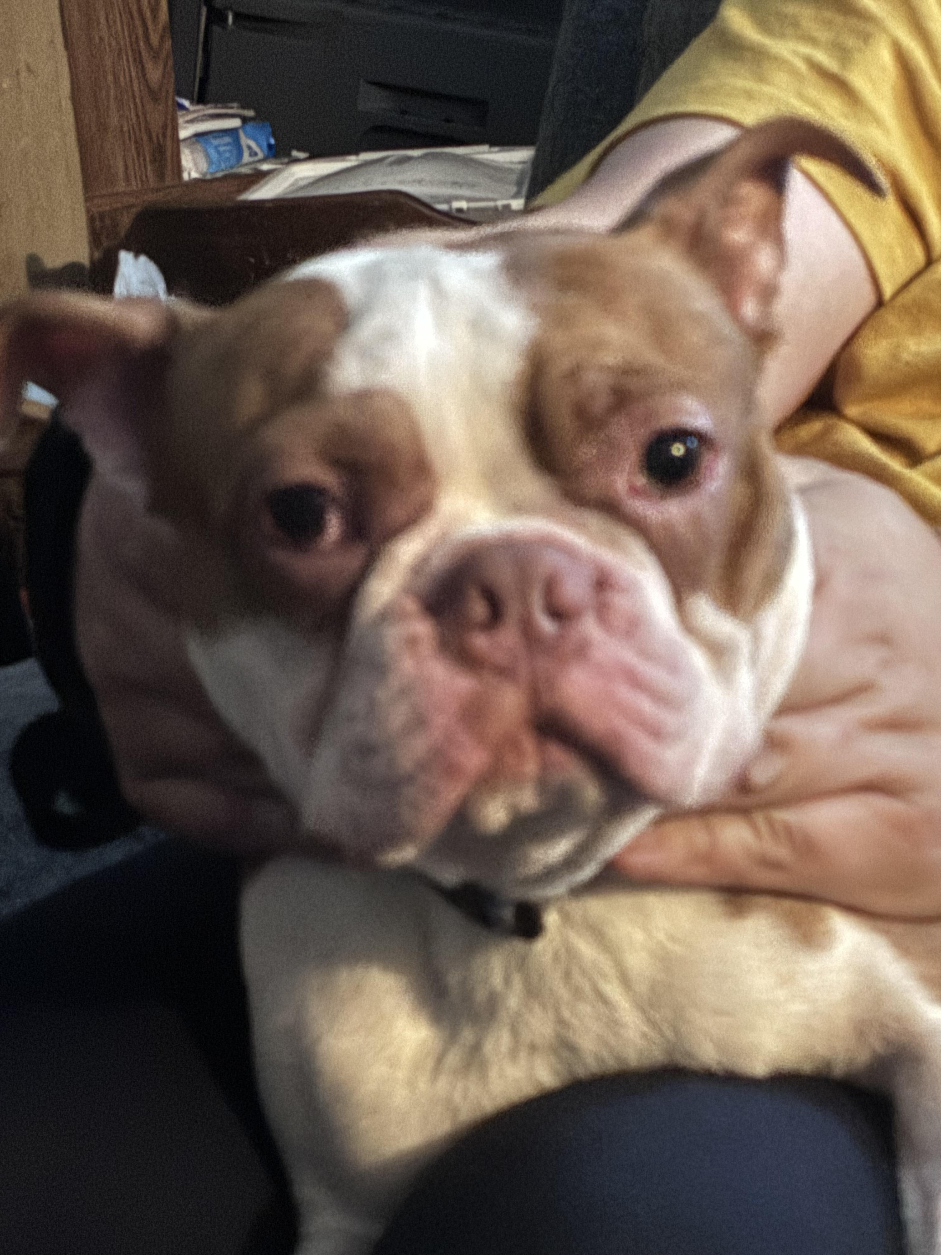 Oakley