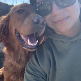 M.J - Golden Retriever