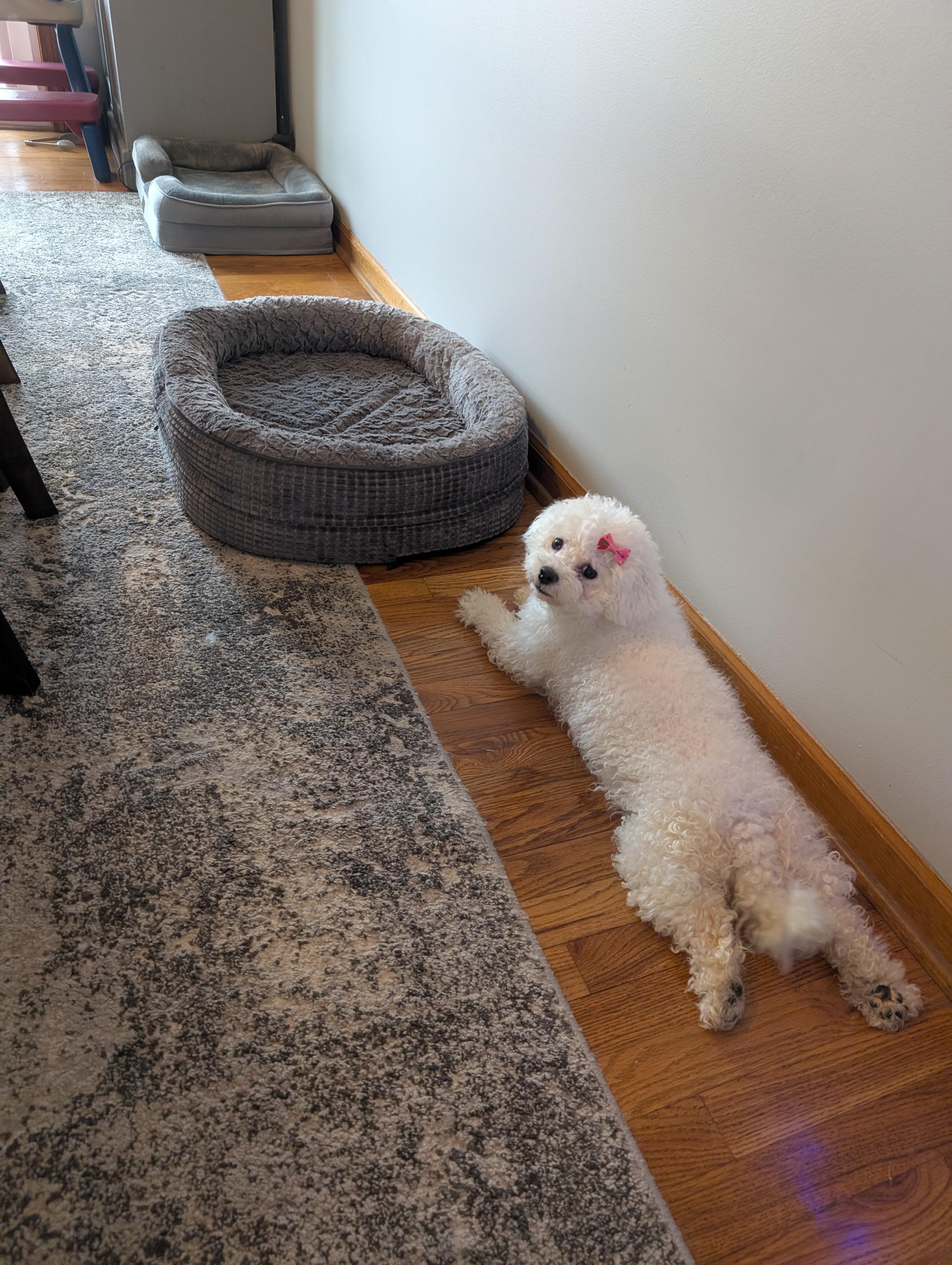 Coco