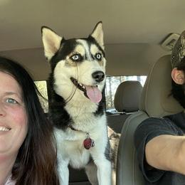 Sky - Pomsky