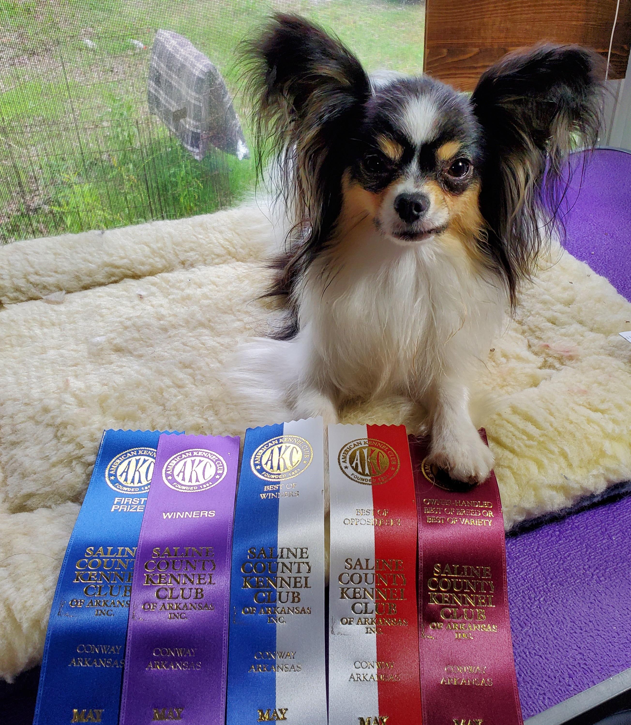 club-papillon様　3月 Baypalms Sun King