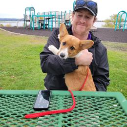 Girl 2 - Wisp - Red female Pembroke Welsh Corgi puppy in Poplar, Wisconsin from Tshandra Corgis